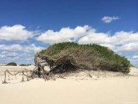/album/es-pedra-furada-arvore-da-preguica-lagoa-do-paraiso/es-descarga-3-jpeg/